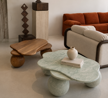 Table Basse Organique